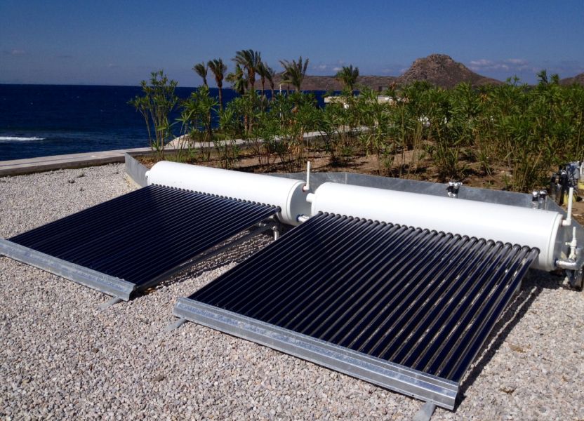 Palmarina – YALIKAVAK